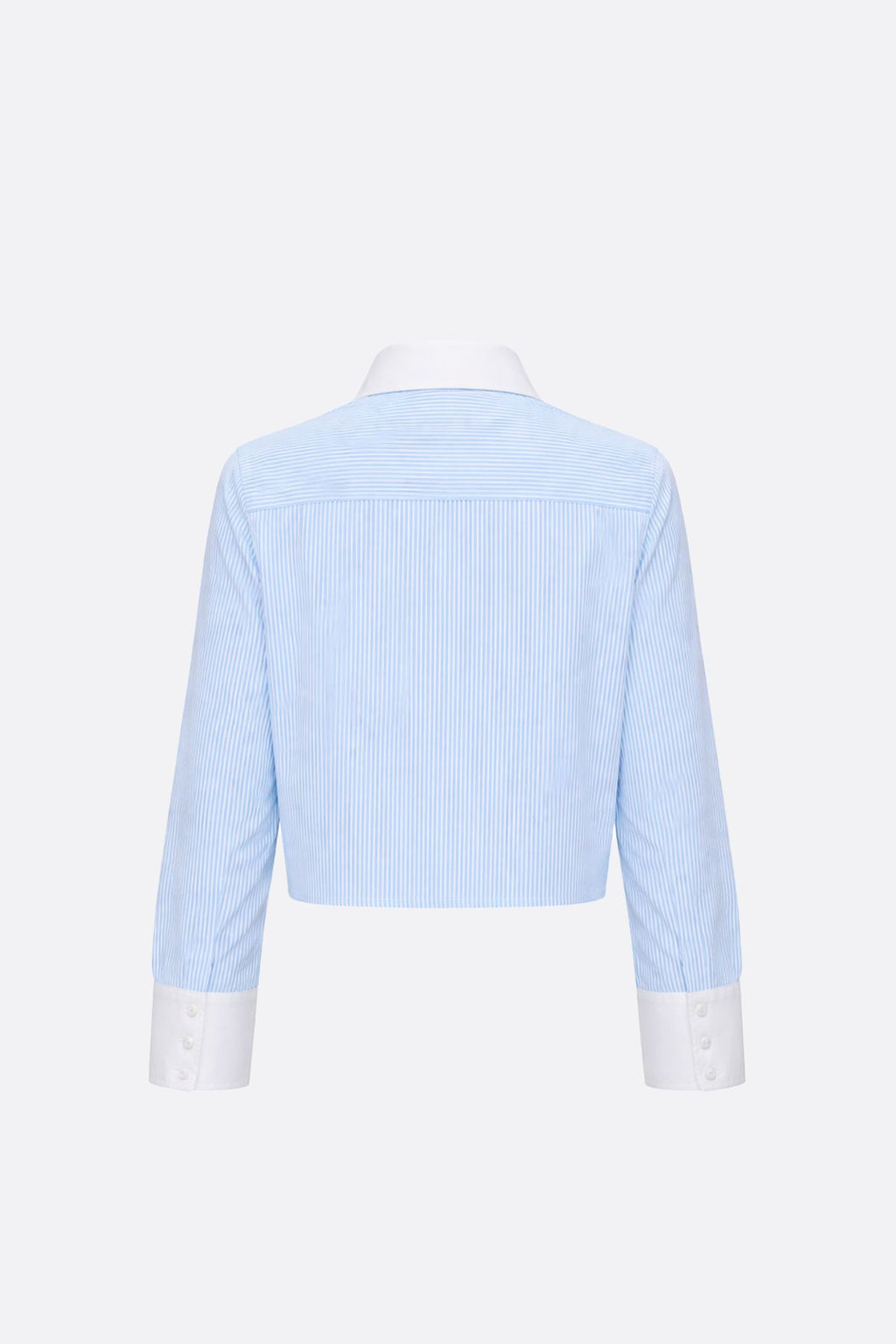 Camisa Raymicor