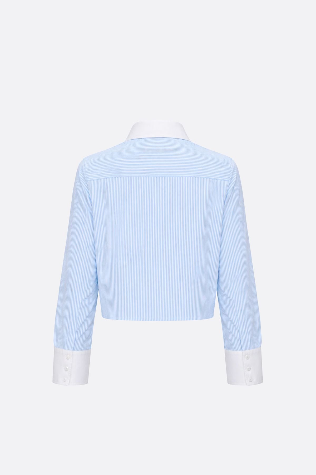 Camisa Raymicor