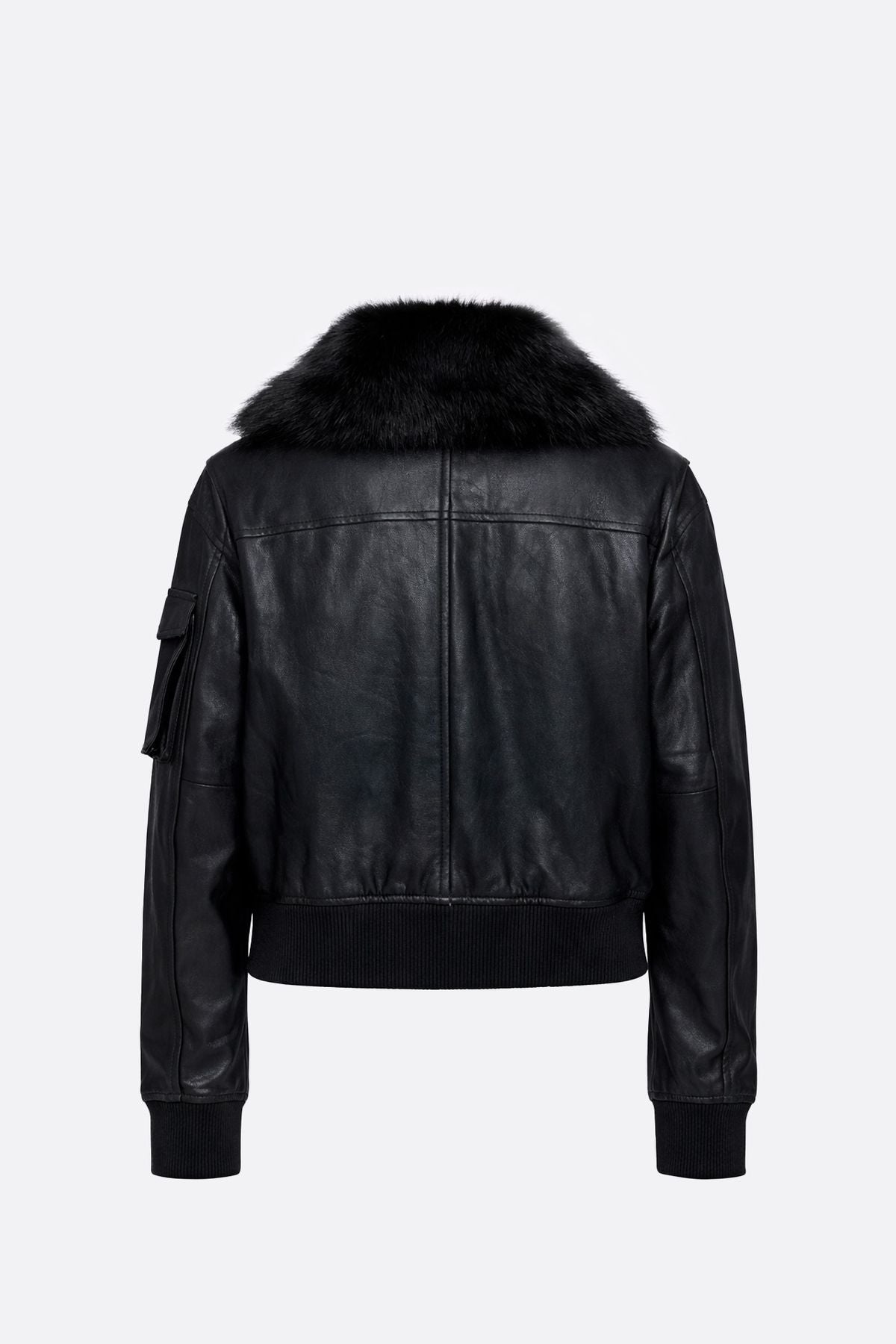 Campera Tolhuin